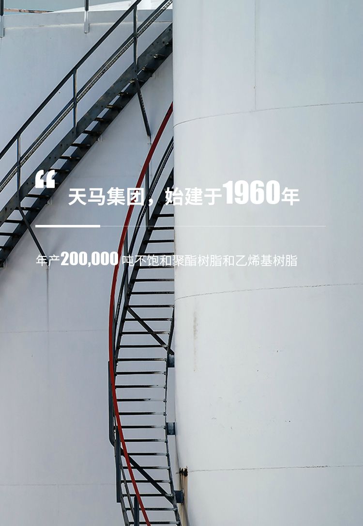 天馬集團(tuán)，始建于1960年